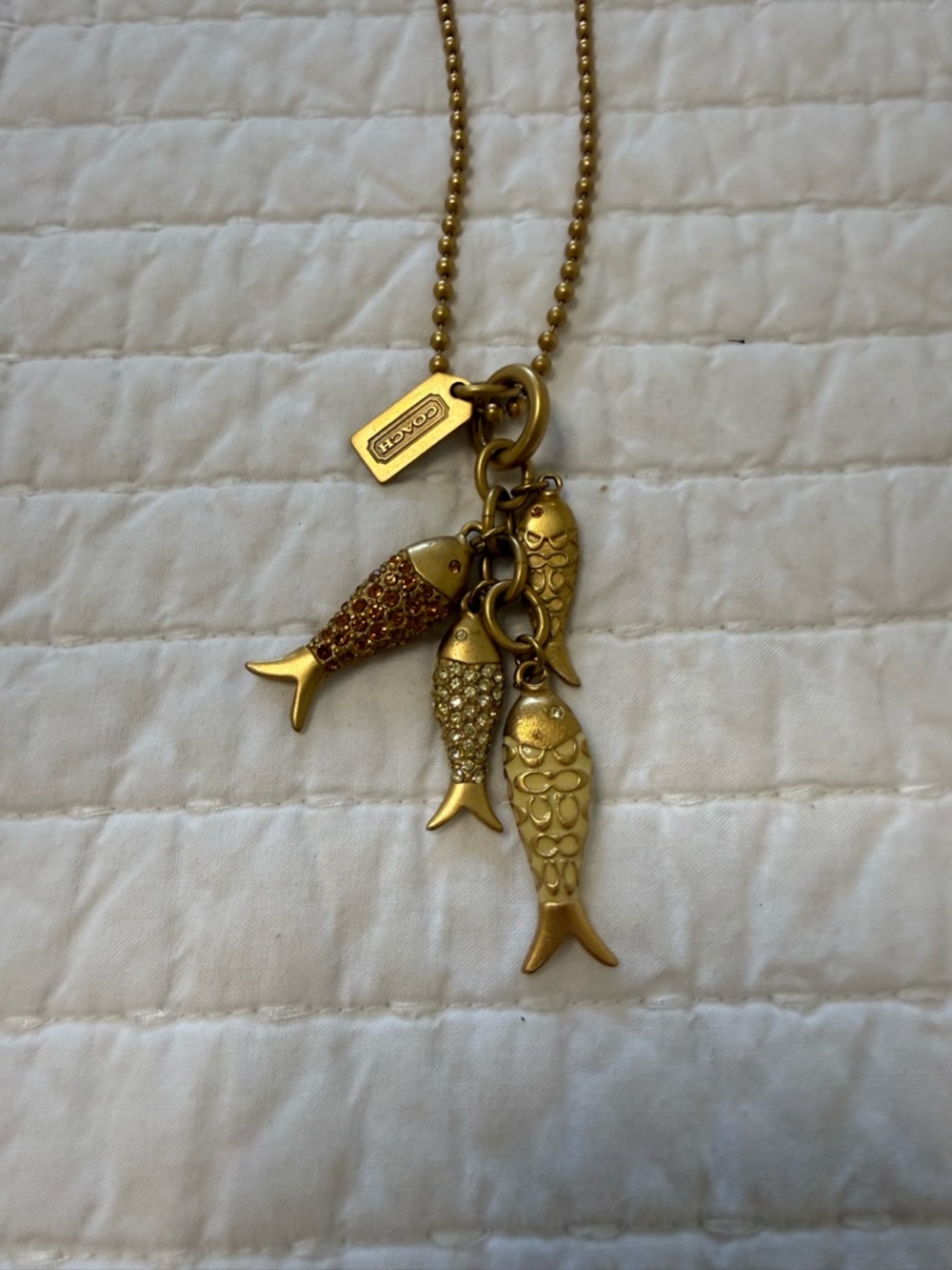 Coach fish necklace
